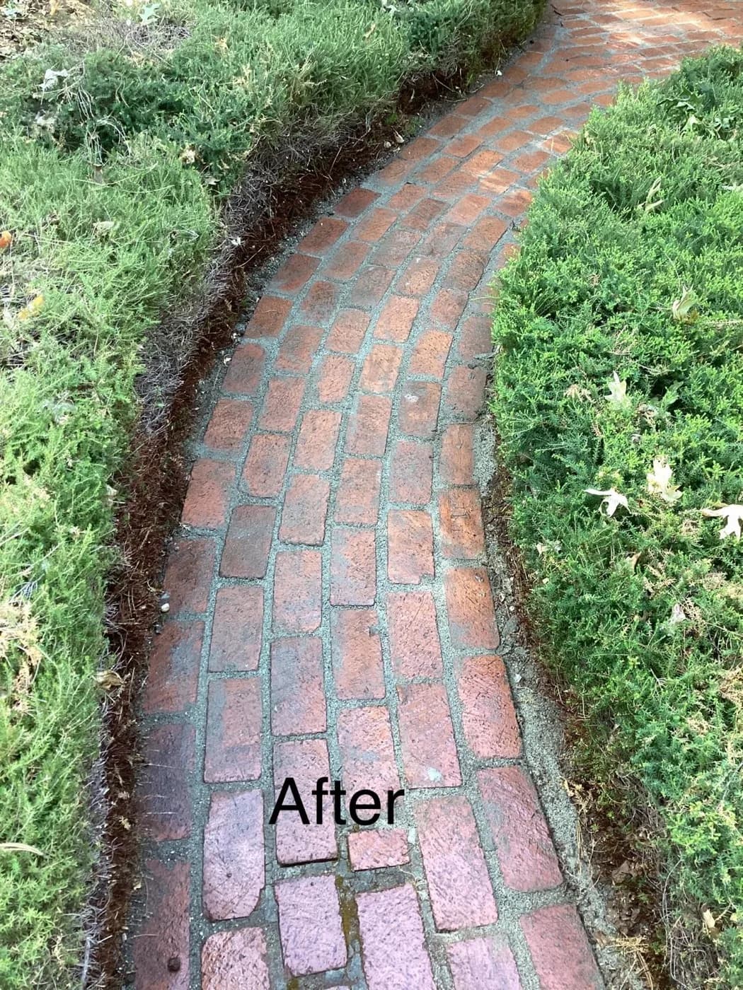 Curved brick walkway we lifted and reset through a lawn
