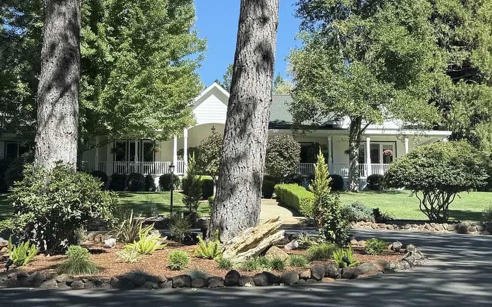 Rock-bordered planting bed and clipped lawn under mature pines at a covered-porch home