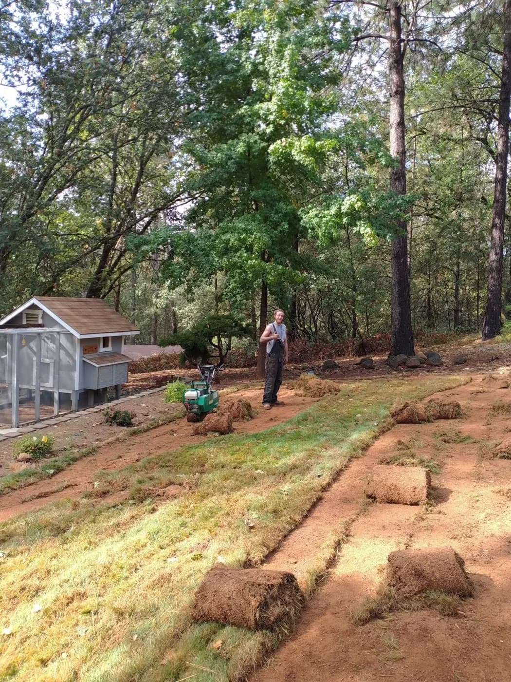 Rolls of sod being laid across a graded slope beside a greenhouse