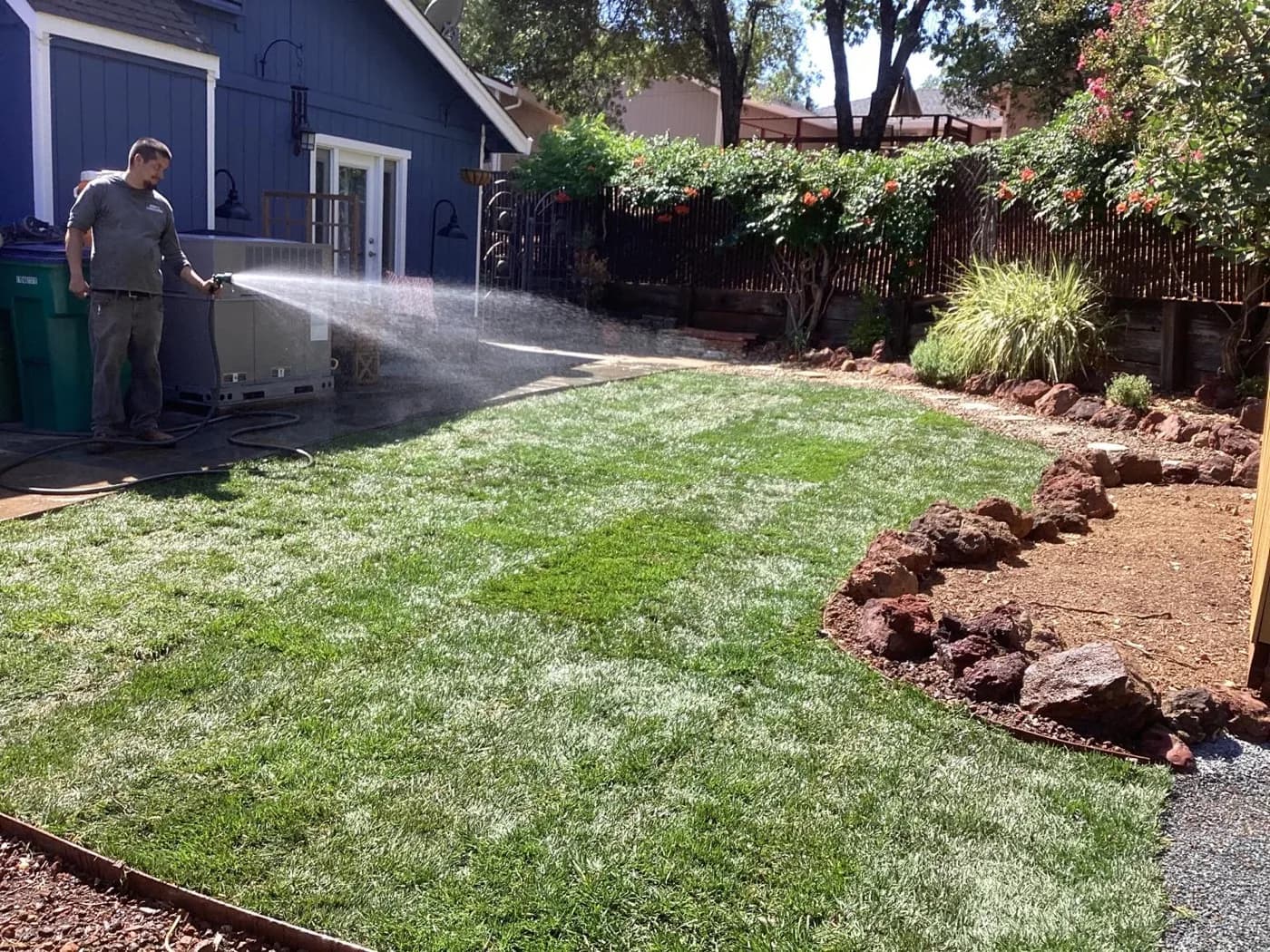 Newly laid sod being watered in beside a rock-bordered planting bed