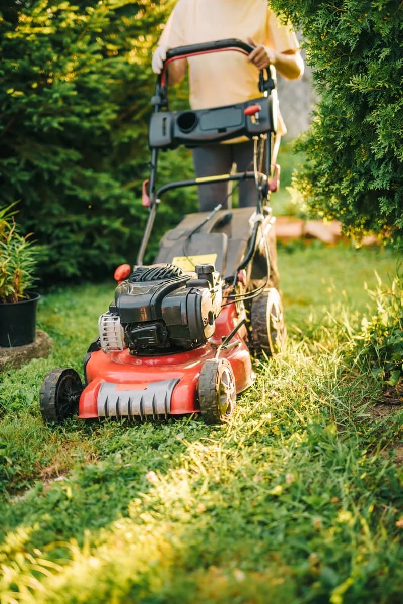 Mowing & Grounds Maintenance