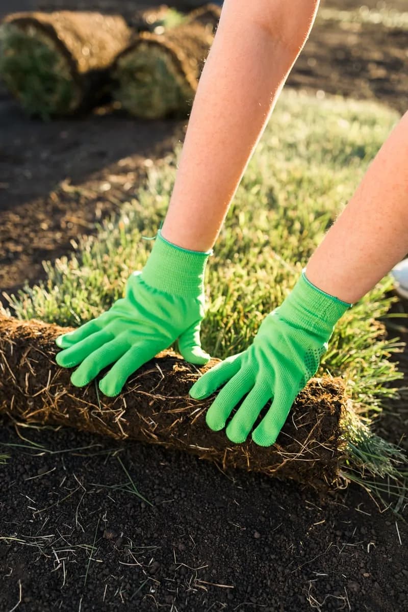 Sod & Grass Repair