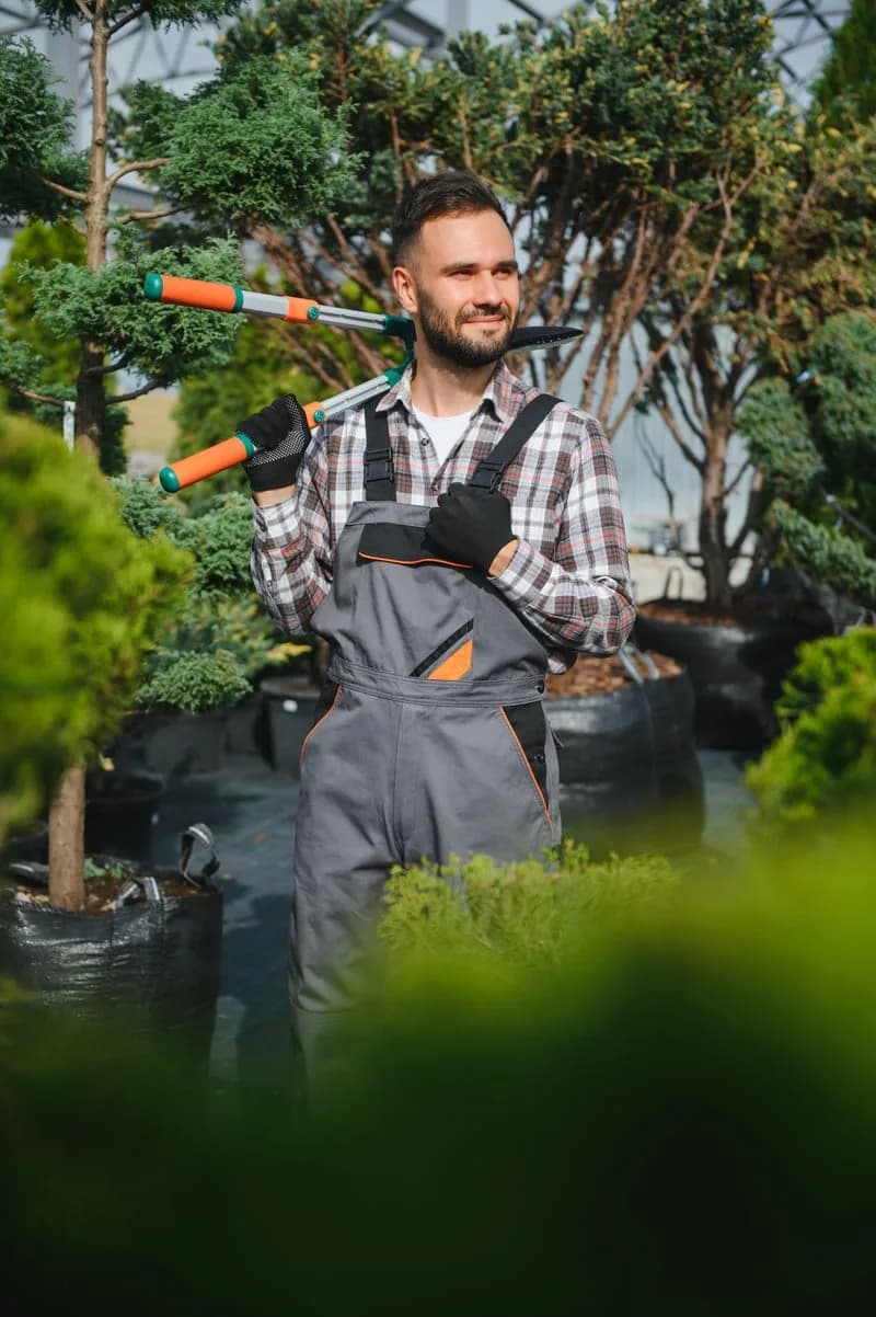 Roof Blowing & Gutter Cleaning