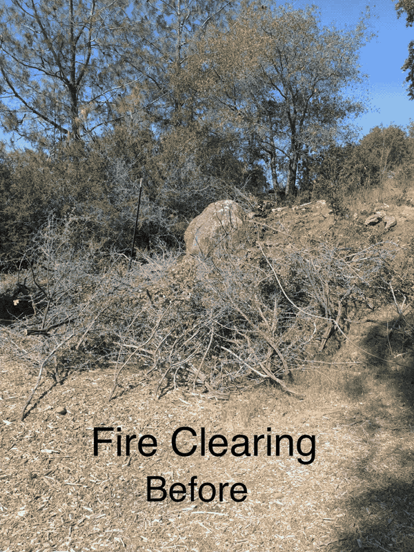 Hillside before and after fire clearing, brush cut back off the slope