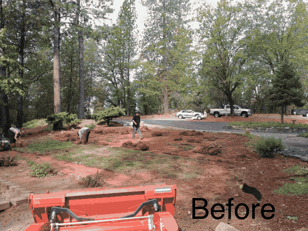 Front yard before and after a full makeover with new lawn and stepping stones