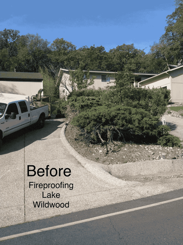 Slope at a Lake Wildwood home before and after fireproofing, overgrowth cut back off the drive